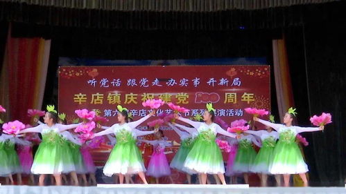 辛店鎮慶祝建黨一百周年暨第六屆文化藝術節圓滿舉行